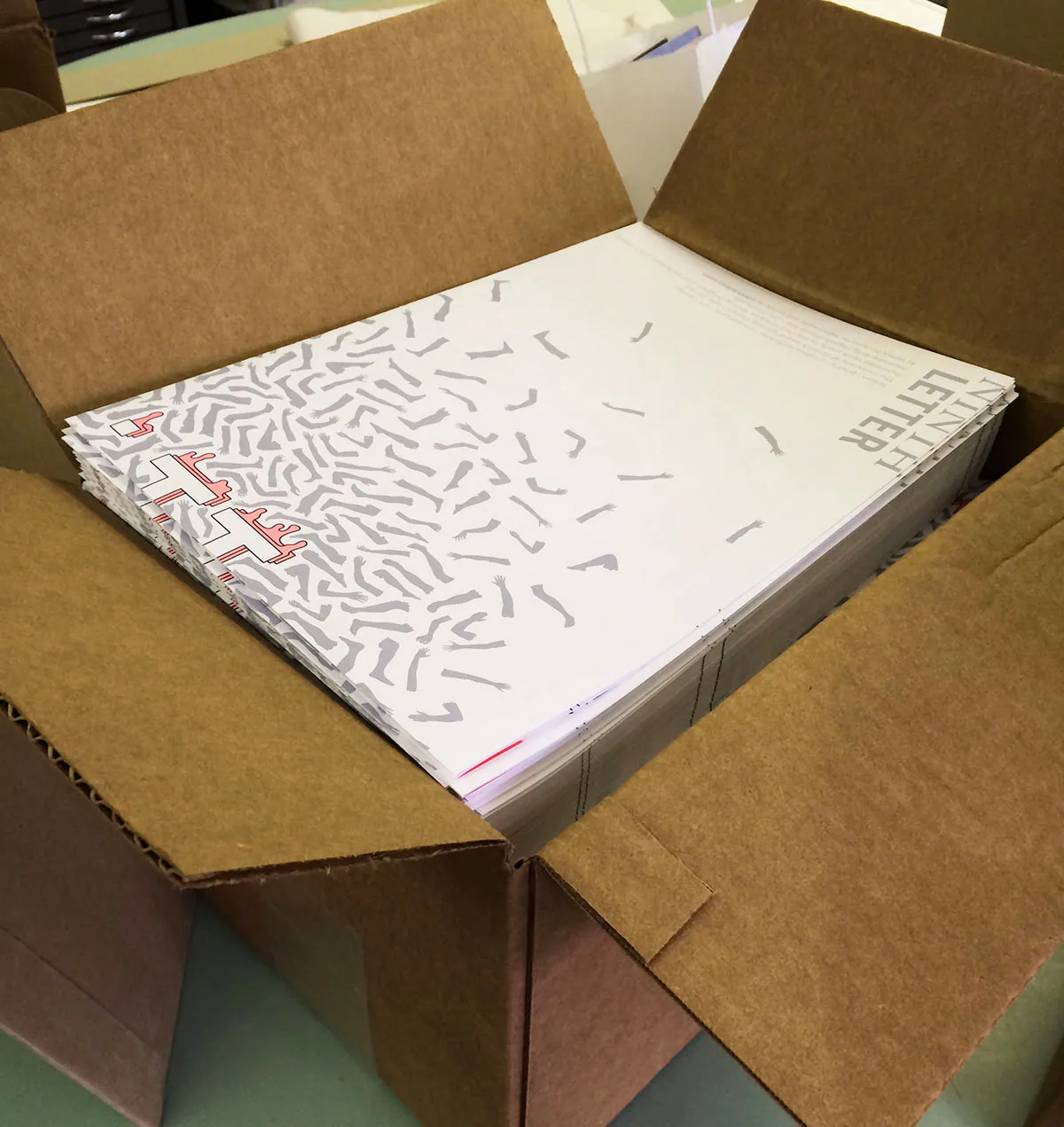 Open shipping box packed with printed Ninth Letter 11.1 journals showing the limb-pattern cover