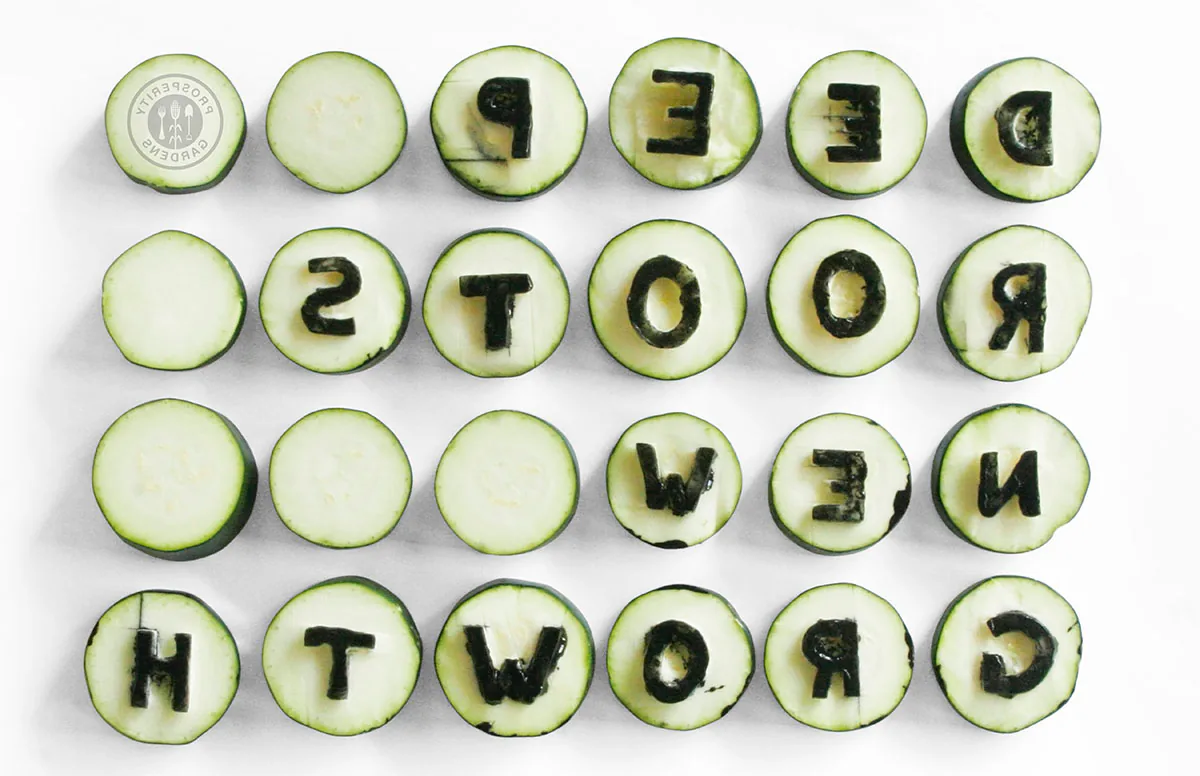 Grid of sliced zucchini rounds carved with letters spelling out ‘Deep Roots New Growth’