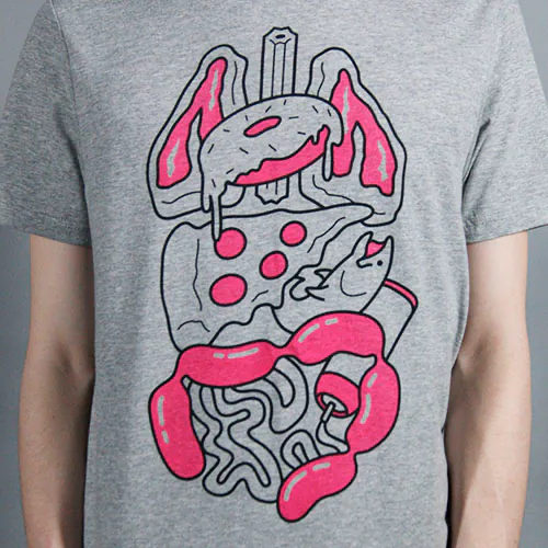 Food Organs